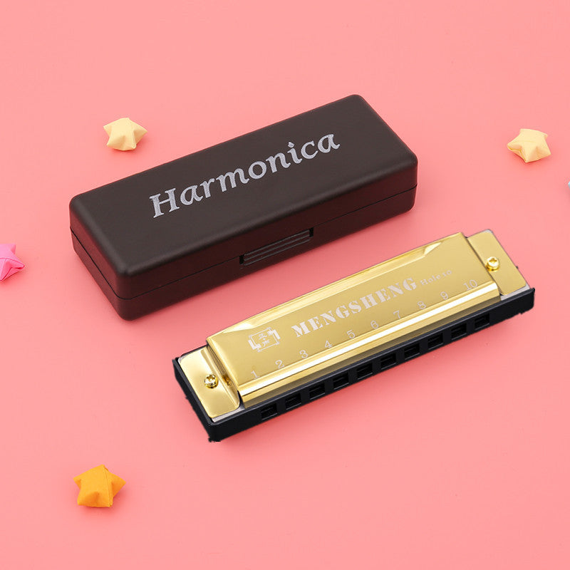 Beginner’s 10-Hole Diatonic Harmonica Set