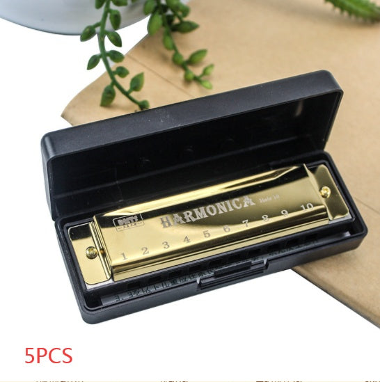 Beginner’s 10-Hole Diatonic Harmonica Set