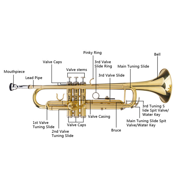 Golden Virtuoso B♭ Standard Trumpet Performance Set