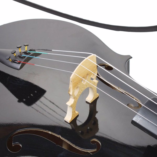 Modern Series 4/4 Full-Size Black Acoustic Cello Pack