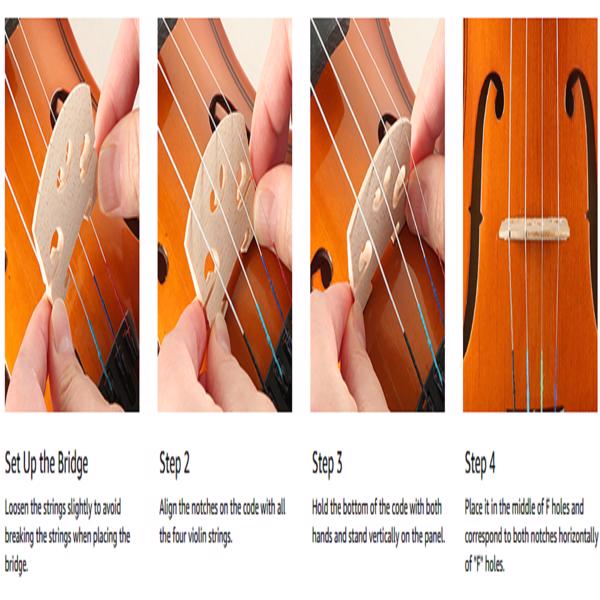 Modern Series 4/4 Full-Size Black Acoustic Cello Pack